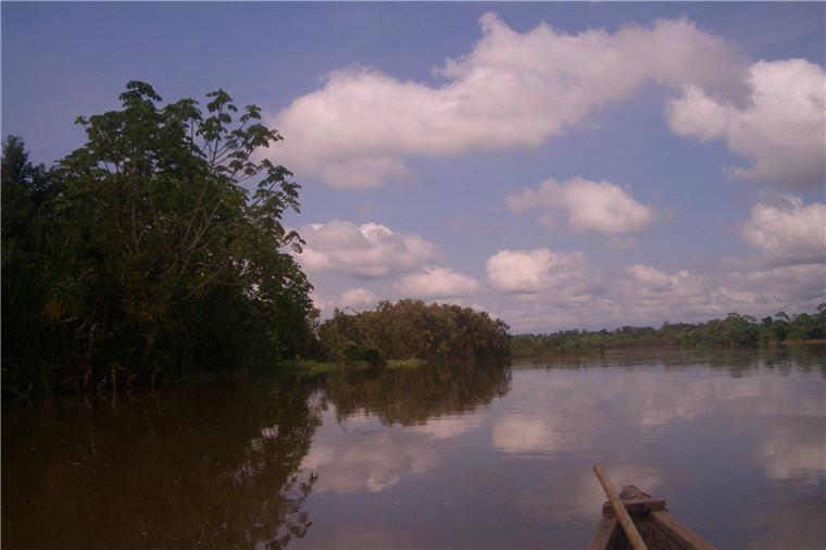Il Rio Cainarachi e le sue foreste