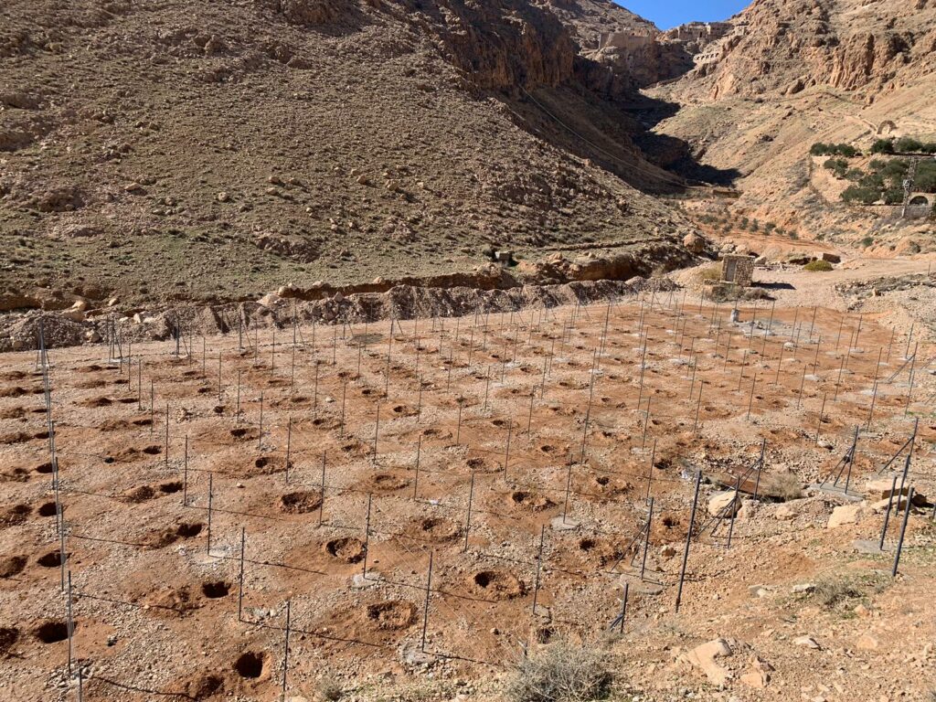 Terreno per il vigneto con i pali per i filari già fissati e le buche per piantare le viti già pronte
